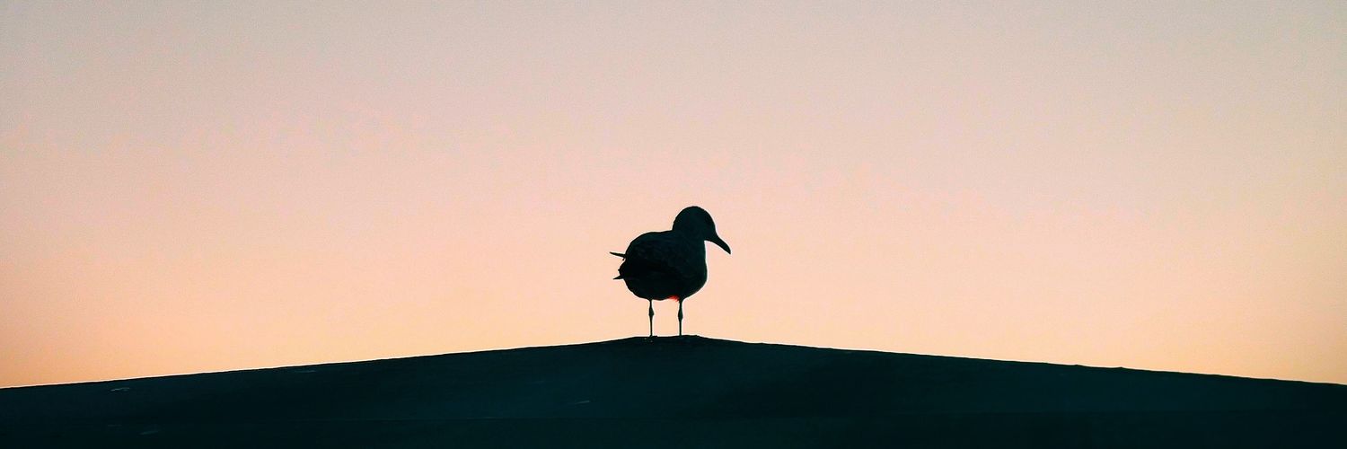 Ademunall's profile banner image