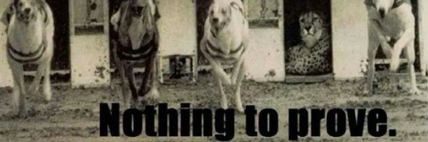 Karim  banner