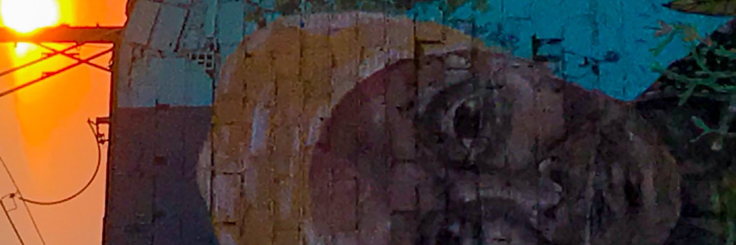 davidmv12's profile banner image