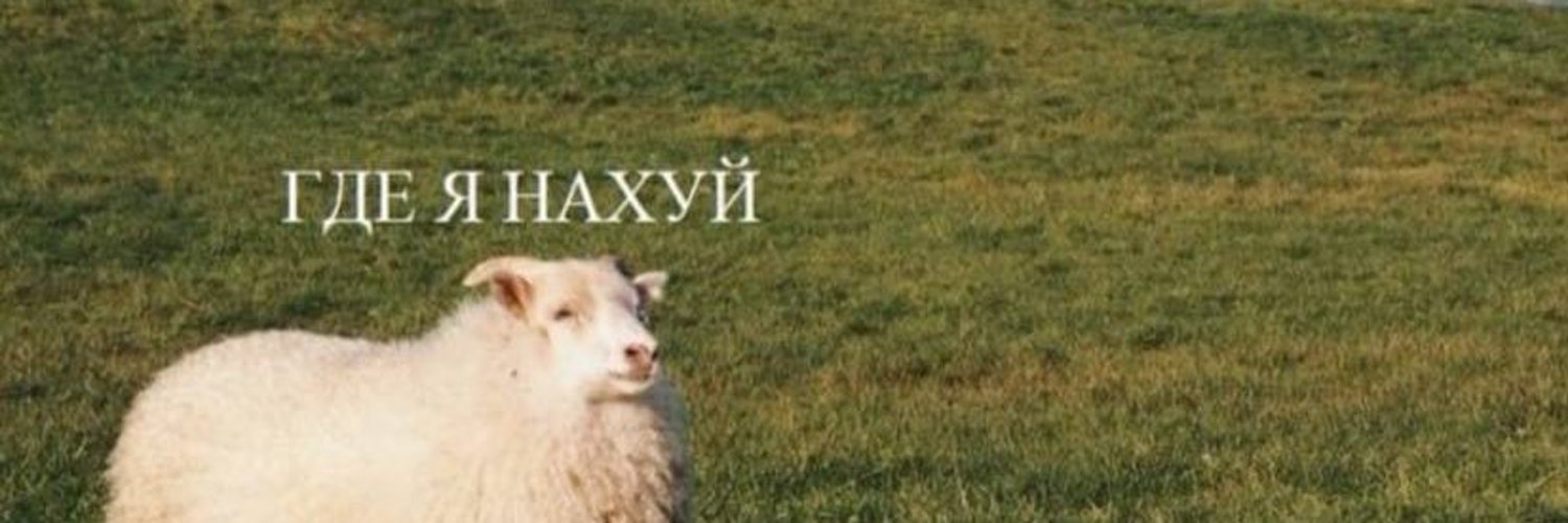 NafaKrh's profile banner image