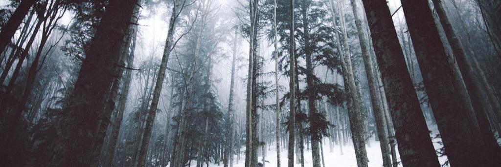 Lucibdl's profile banner image