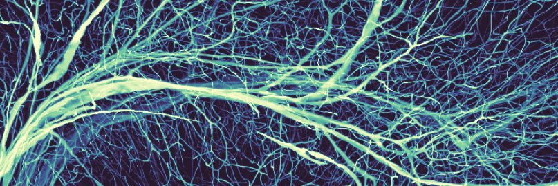 Dylan Terstege banner