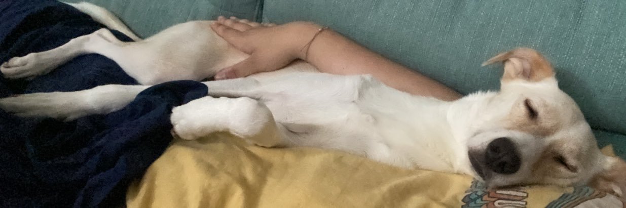 Mimi banner