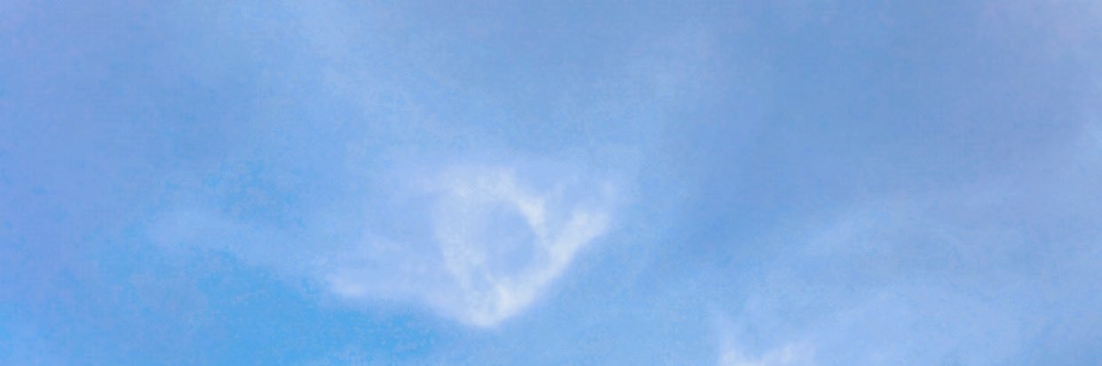Dahlia_Mer's profile banner image