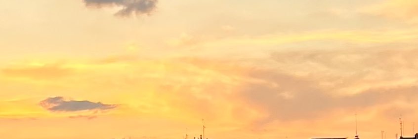 sarapg_'s profile banner image