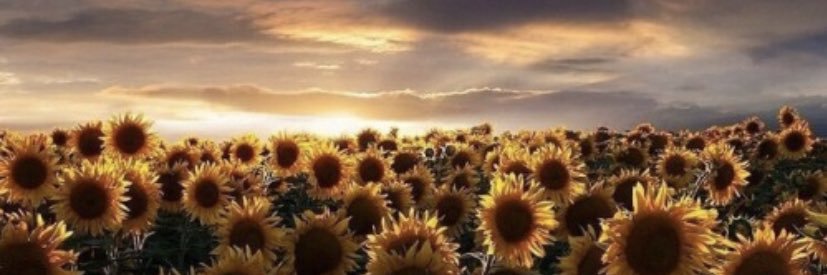Saam_Daniellee's profile banner image