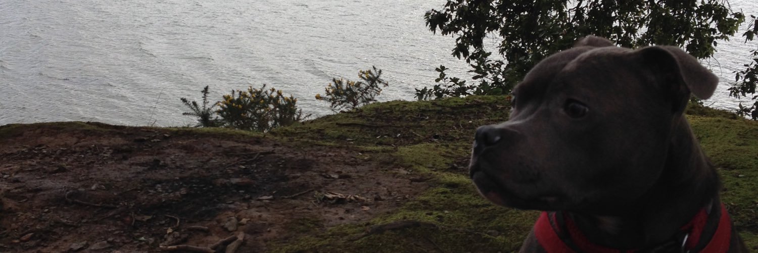 Jason Haswell banner