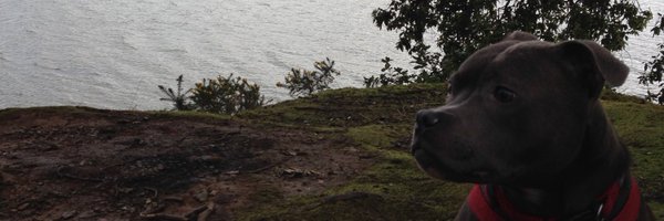 Haswell13 Profile Banner