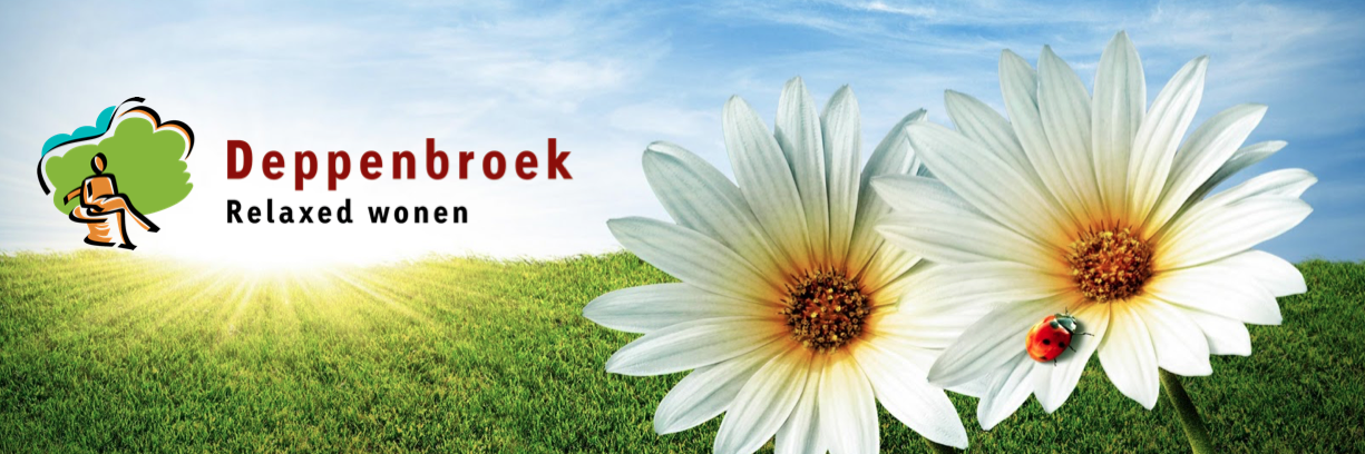 bpdeppenbroek's profile banner image