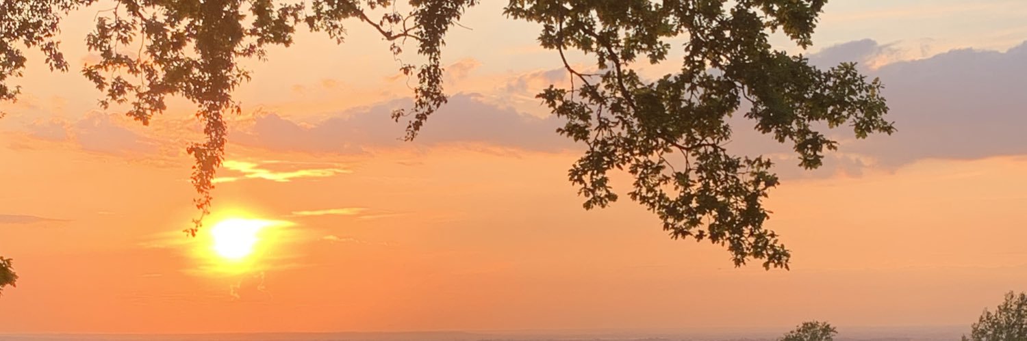 bexk91's profile banner image