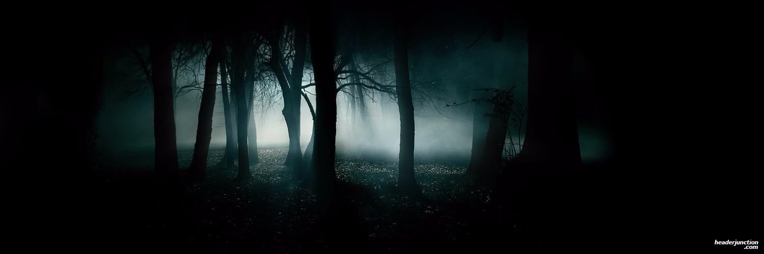 skennyy_'s profile banner image