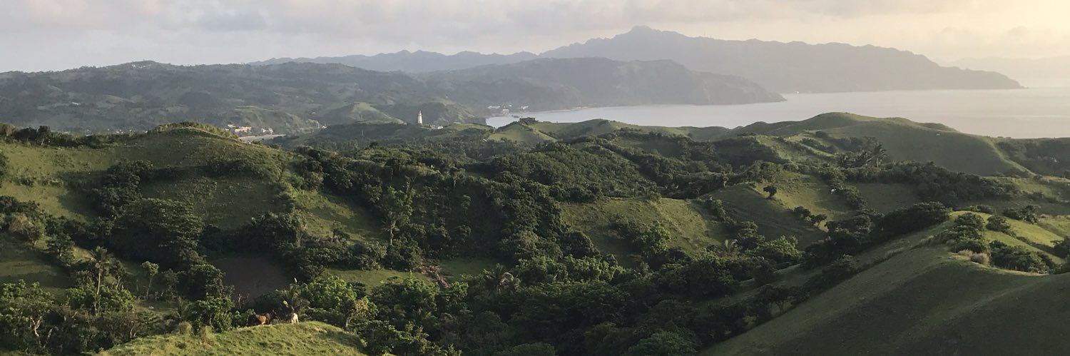gelaii0's profile banner image