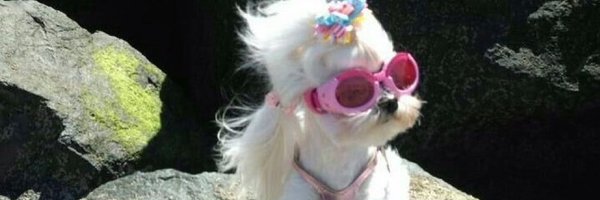 rebnalty Profile Banner