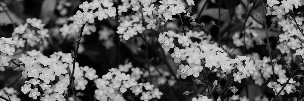 _candywrapper_'s profile banner image