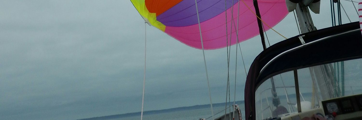 Sarah Hélène 💚🏳️‍⚧ 🇺🇦🕷 #FBPA#FBPE#REJOINEU#TS banner