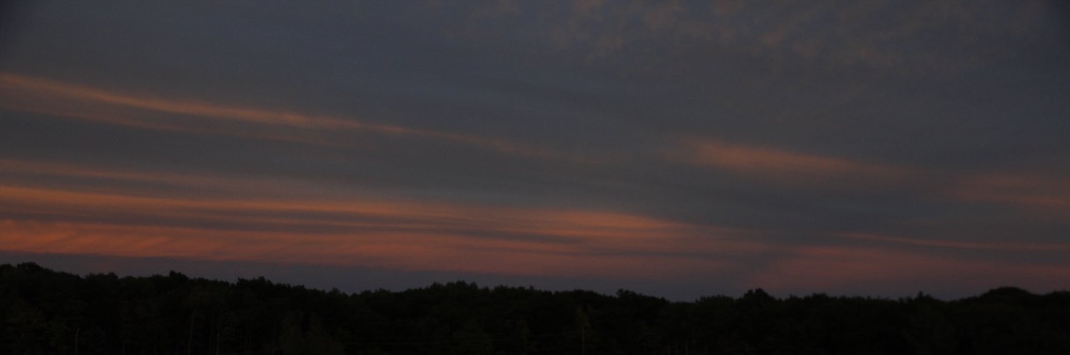 michaelaforbes_'s profile banner image