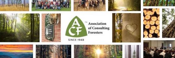 ACF banner