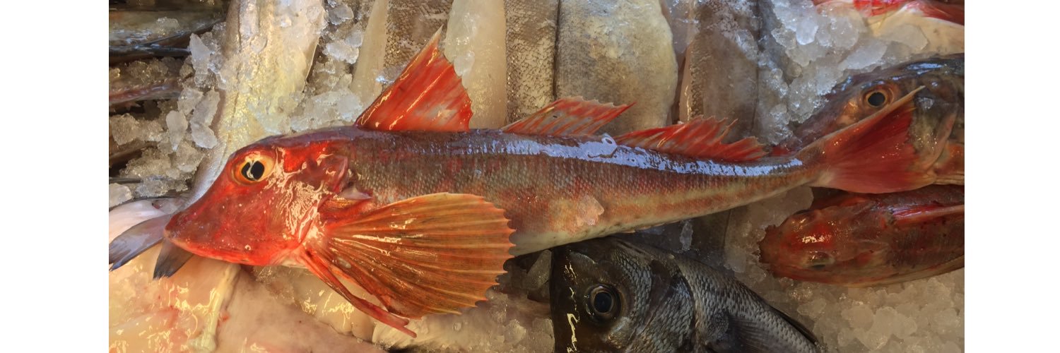 FishOnTheQuay's profile banner image