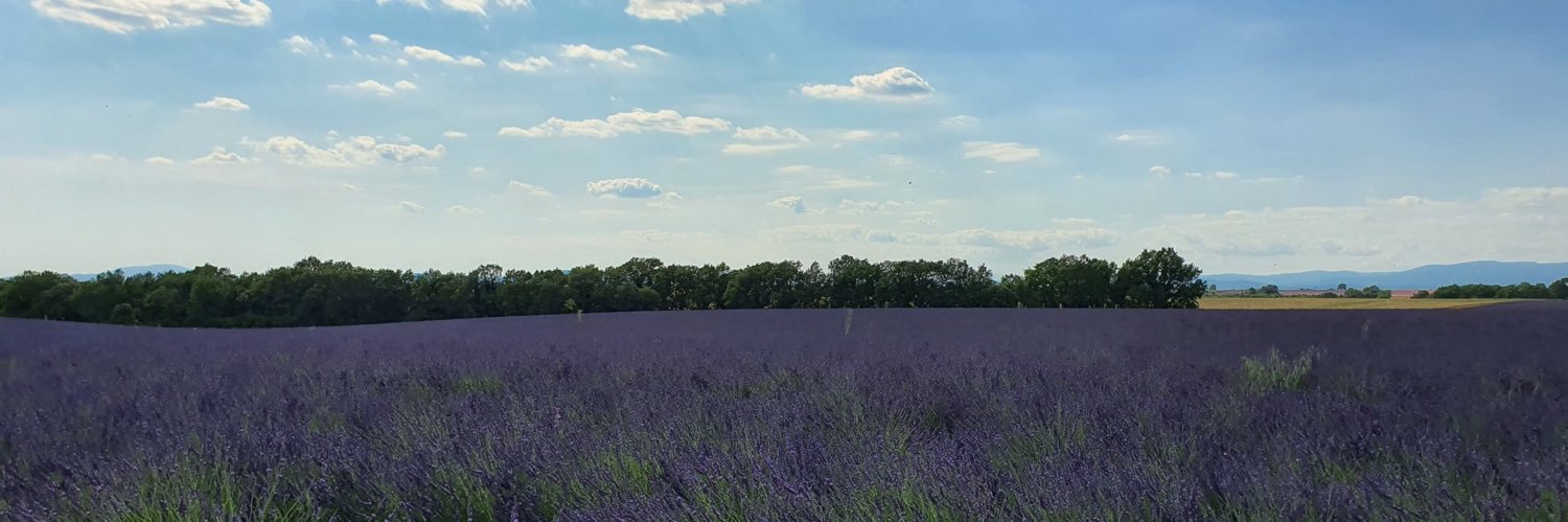 Hemgé du Sud 🐊 banner