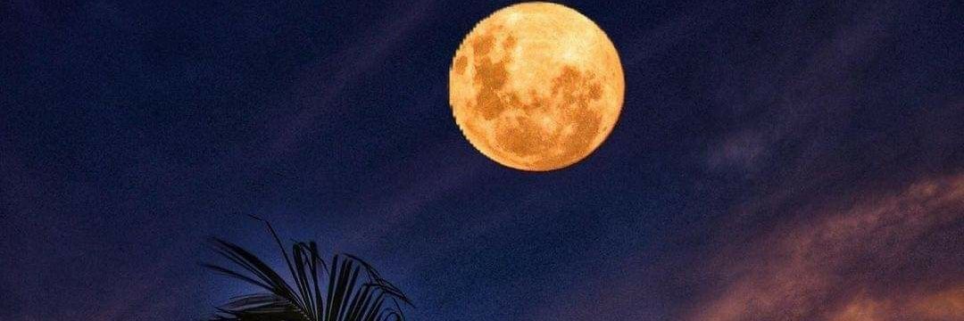 TaiinaLinhares's profile banner image