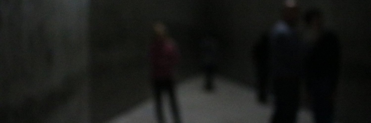 Lucialllll's profile banner image