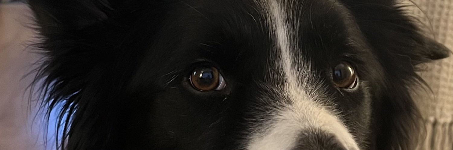 davehoops's profile banner image