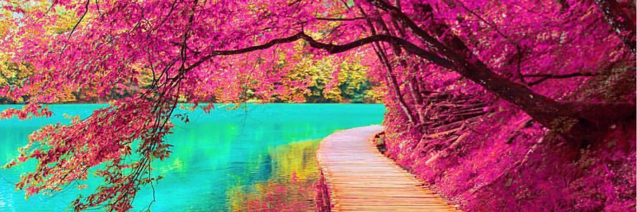 sutch_e's profile banner image