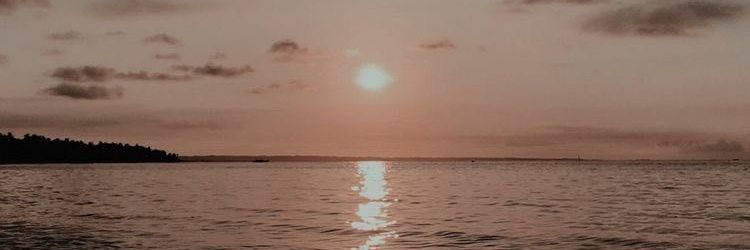 Ele♡ banner
