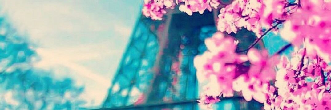 akyolmakbule's profile banner image