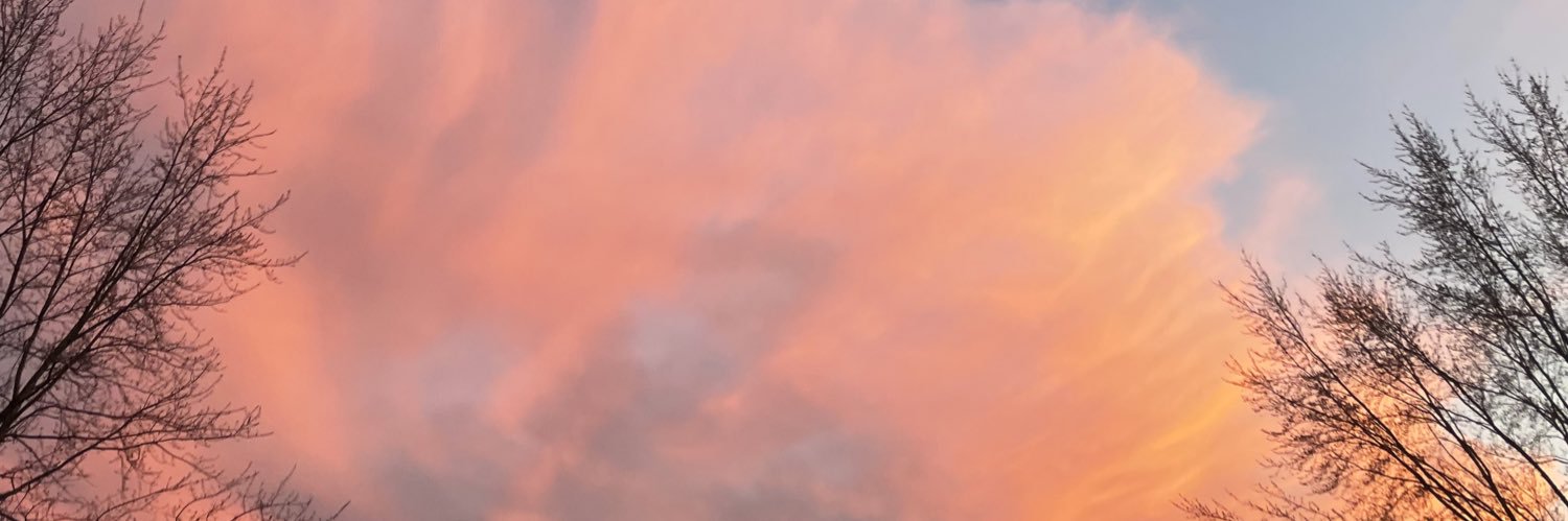kcbilek's profile banner image