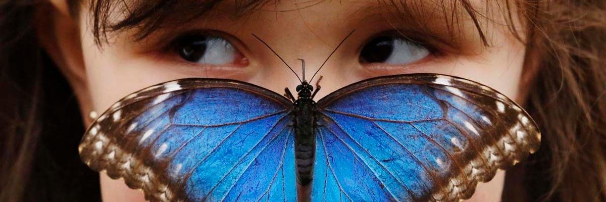 marial_o's profile banner image