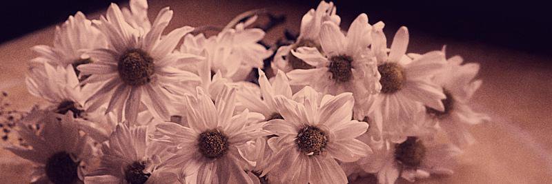 CelicHg's profile banner image