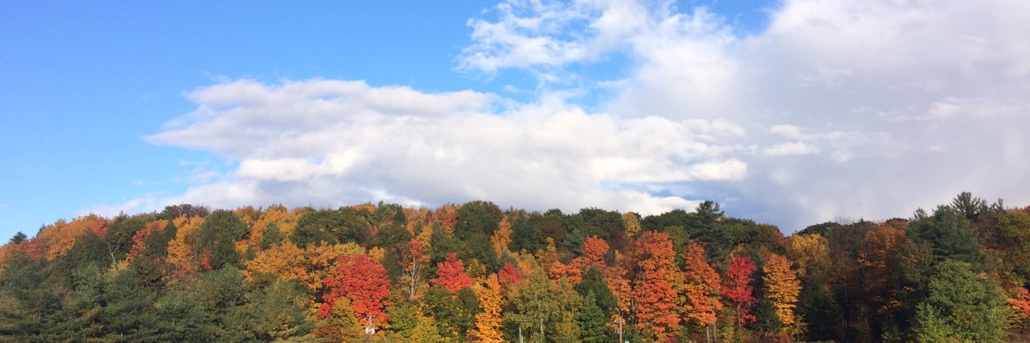 laurfleisch's profile banner image