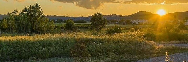 EvanderCross's profile banner image