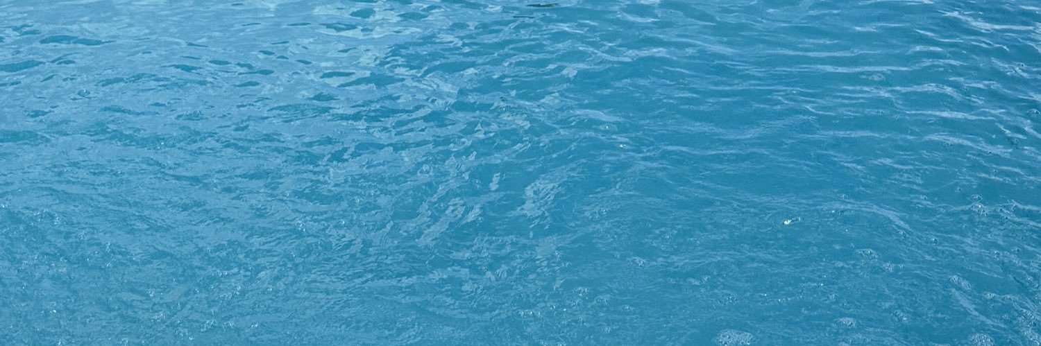 whenpigsfly_xo's profile banner image