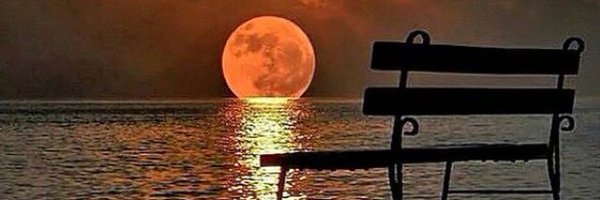 Rt3arb Profile Banner