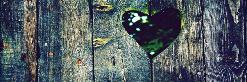 tarapacker88's profile banner image
