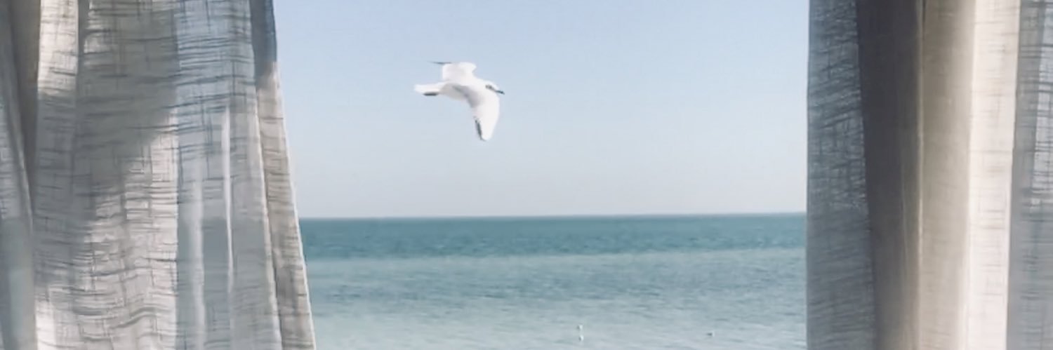 zaainnAli's profile banner image
