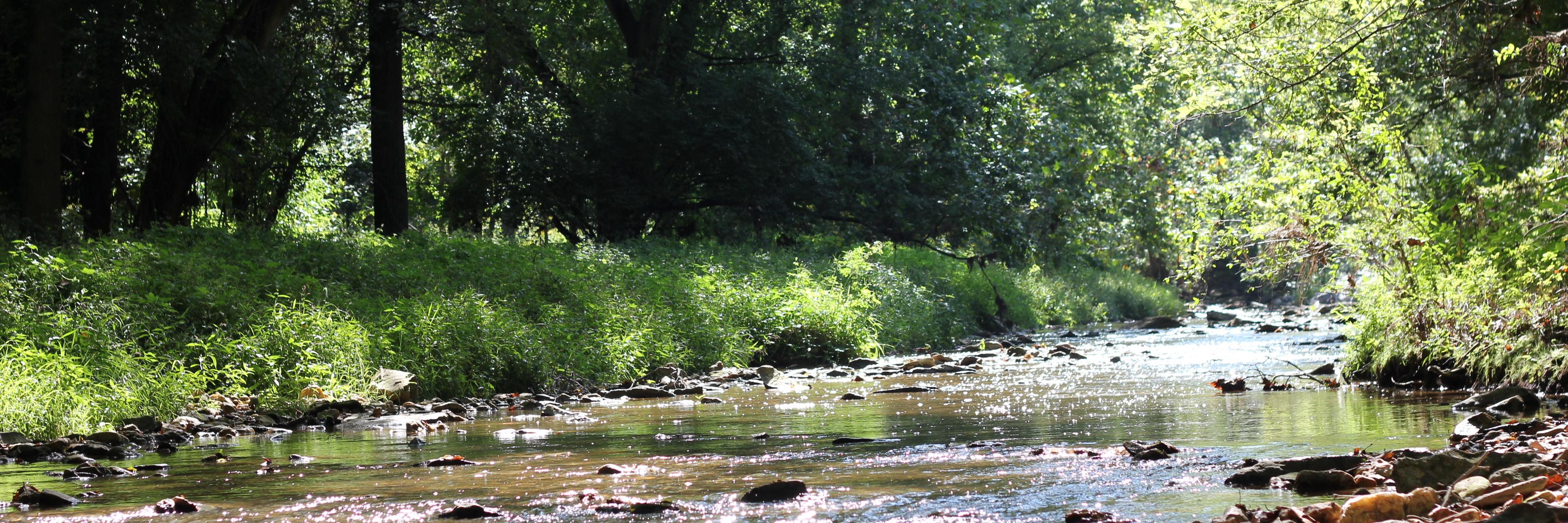 Michael D. Baran, Ph.D. banner