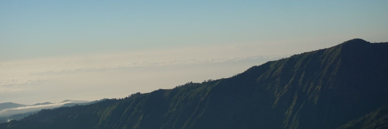 dodoedo_'s profile banner image