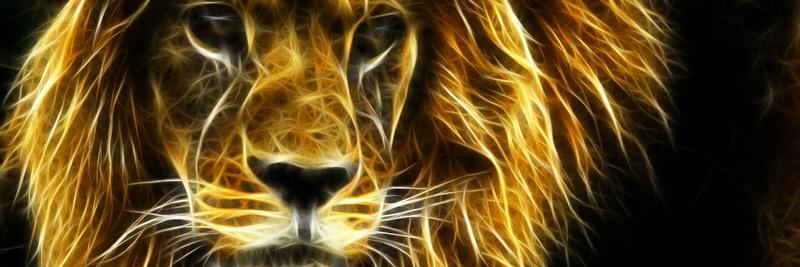 pegjum's profile banner image
