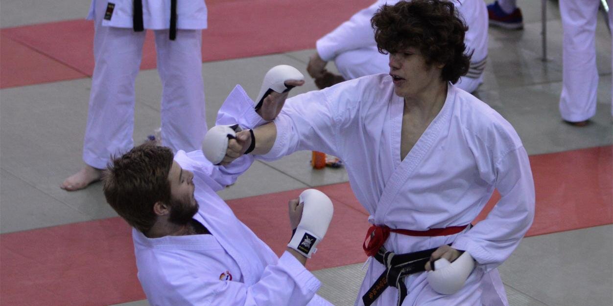 ShinkoKarate's profile banner image