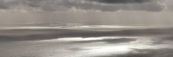 emitruc Profile Banner