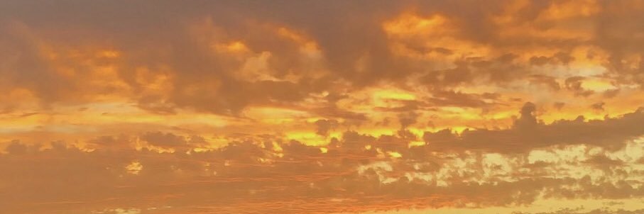sarasj8's profile banner image