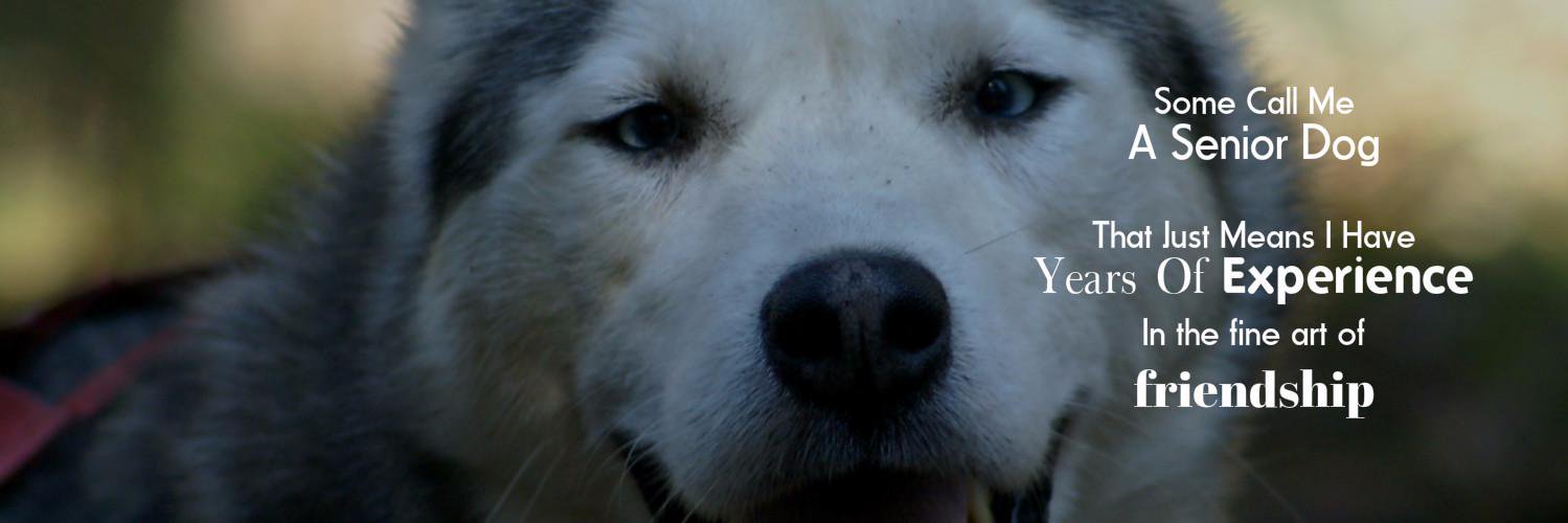 HeidiRoelofs's profile banner image