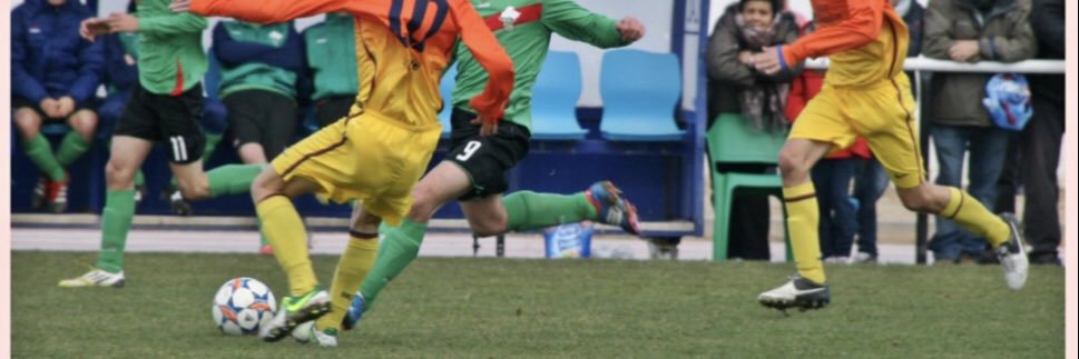 Javier Los Arcos banner