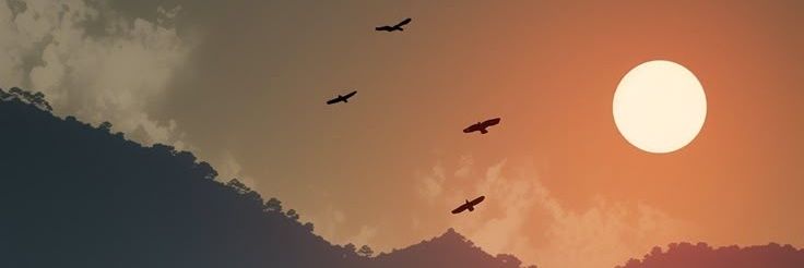 vydi_v's profile banner image