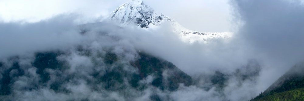 nnweike's profile banner image
