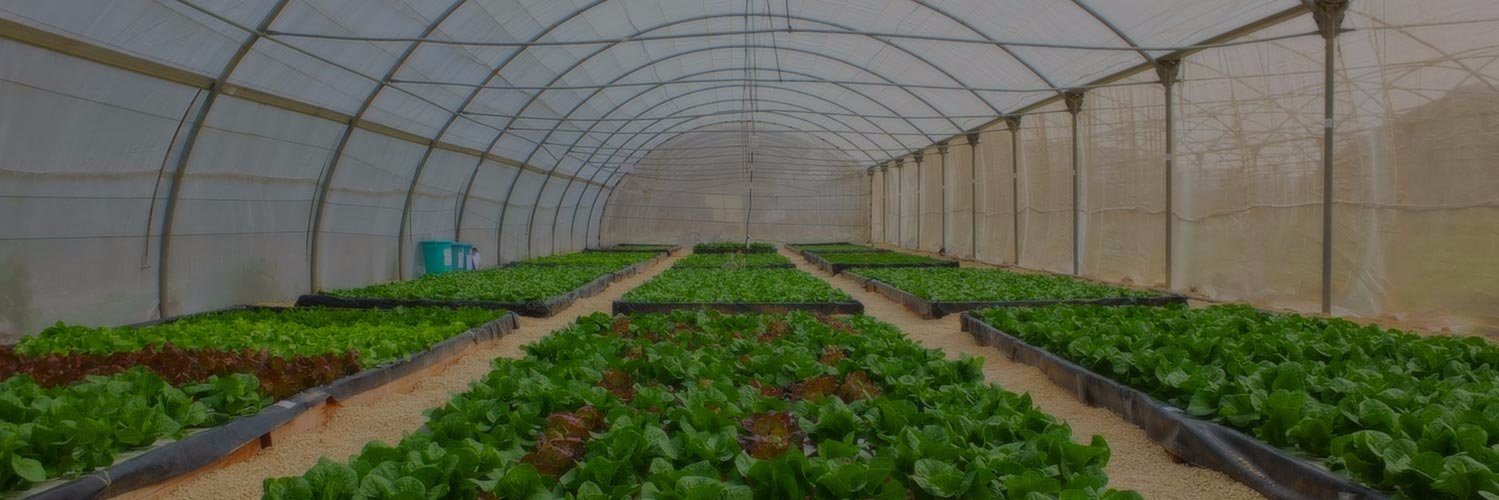 farmversations's profile banner image