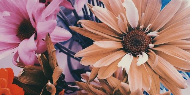 FineIndividual's profile banner image